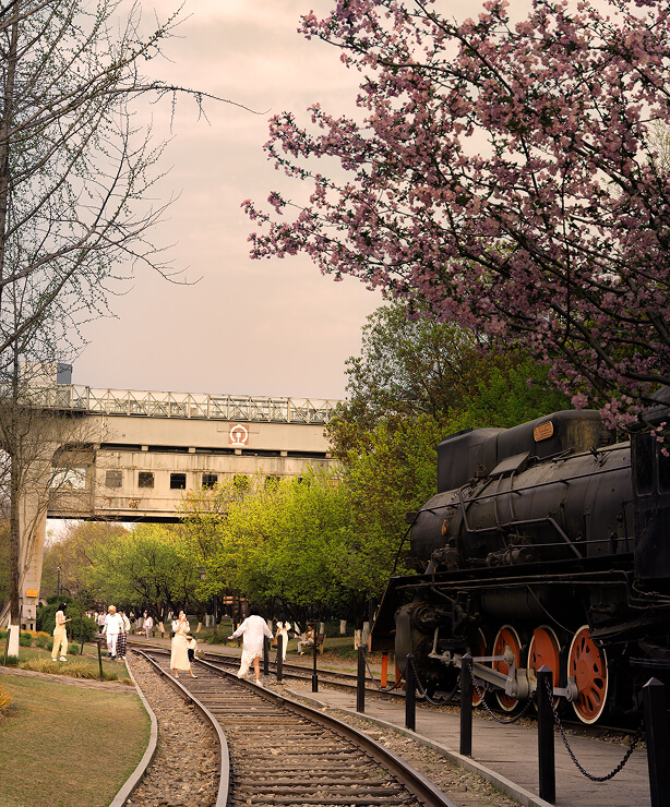 杭州暮光之城咖啡厅