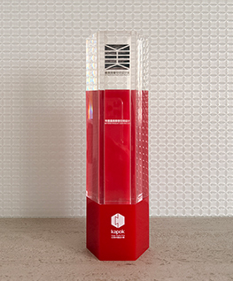 红锦中国设计奖—年度最美雅奢空间设计