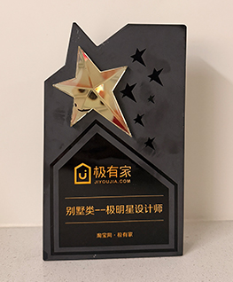 极有家新青年设计奖评奖:别墅类—极明星设计师