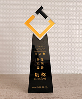 拓者杯—居住空间设计 银奖