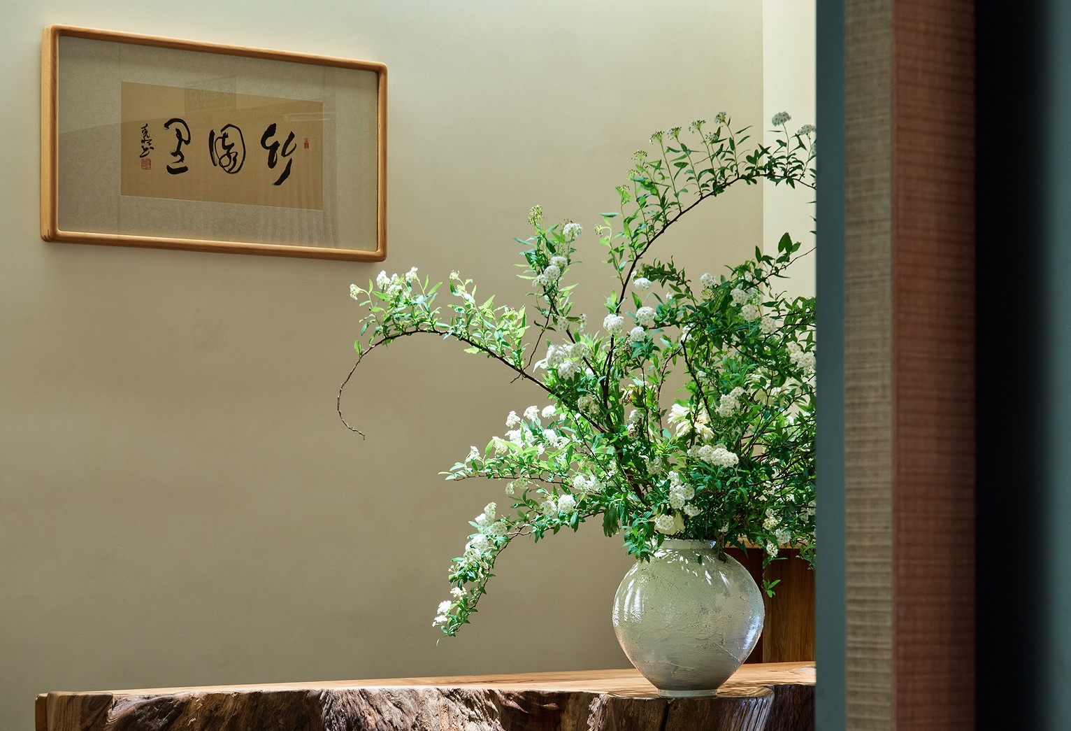 植物园里的烟火人间