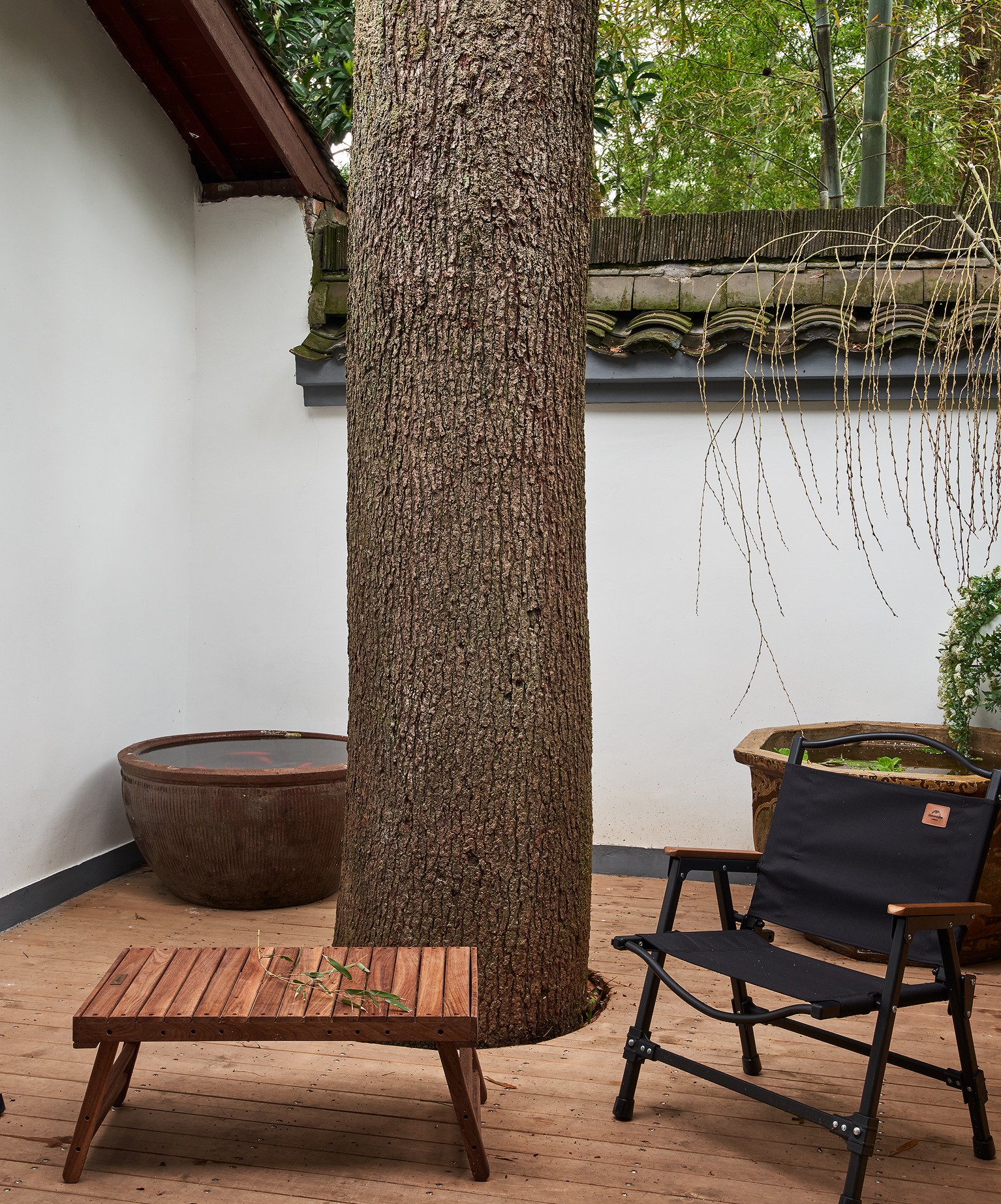 植物园里的烟火人间